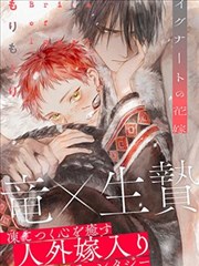 蝴蝶少女中文版歌词同步字幕示意